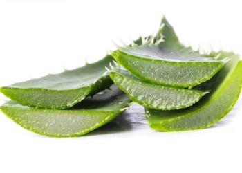 What is aloe vera