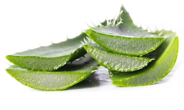 What is aloe vera