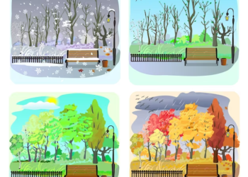 winter is the best season