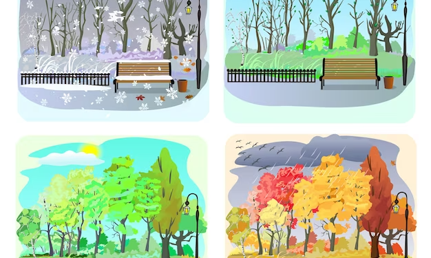 winter is the best season