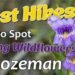 is bozeman spring show same as home and garden show